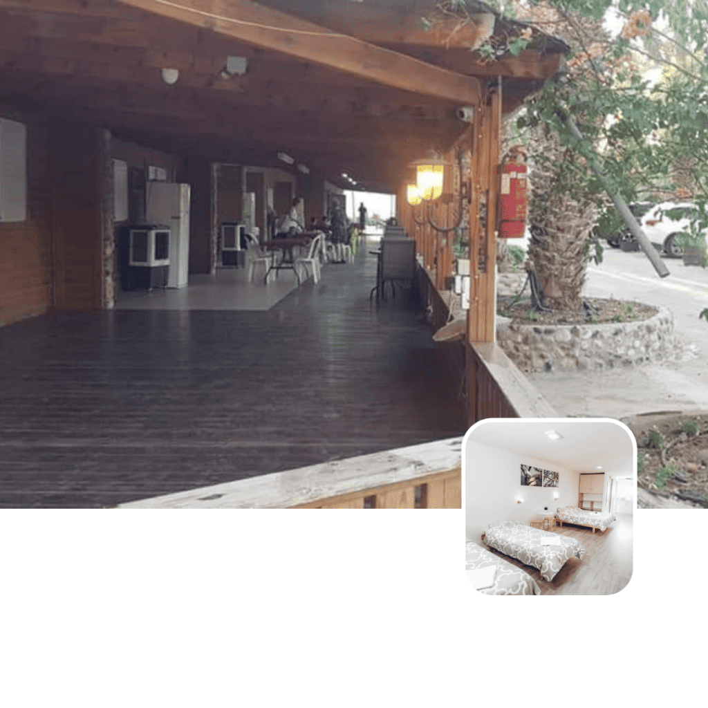 בין עצי התמר, עין יהב